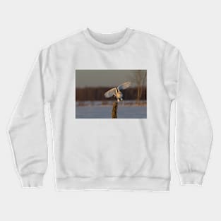 Snowy Owl taking off Crewneck Sweatshirt